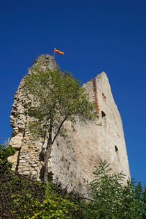 Burg Landeck von Stephan Gehrlein