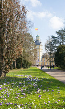 Schlossgarten Karlsruhe by Stephan Gehrlein