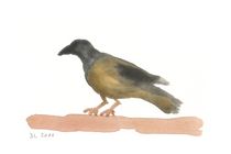 Vogel, gelb-schwarz von Doris Lasar