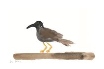 Vogel mit schwarzem Kopf by Doris Lasar