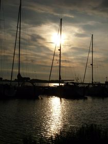Hafen von Orth in der Abendsonne by Simone Marsig
