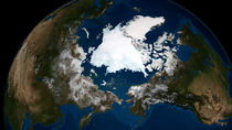 Arctic sea ice. by Stocktrek Images
