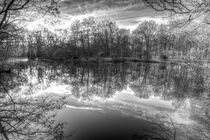 Early Morning Forest Pond von David Pyatt