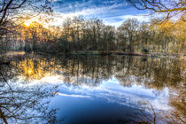 Early Morning Forest Pond von David Pyatt