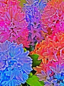 ~Colorful Flowers Hyazinthen~ von Sandra  Vollmann
