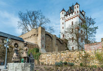 Kurfürstliche Burg Eltville 73 by Erhard Hess