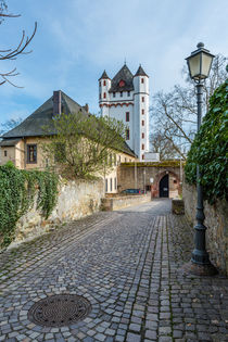 Kurfürstliche Burg Eltville 19 by Erhard Hess