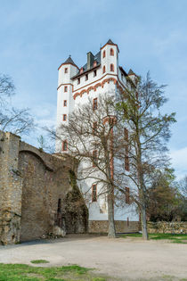 Kurfürstliche Burg Eltville by Erhard Hess