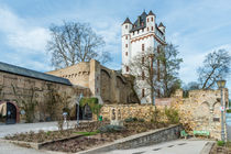 Kurfürstliche Burg Eltville 70 by Erhard Hess