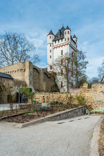 Kurfürstliche Burg Eltville 71 by Erhard Hess