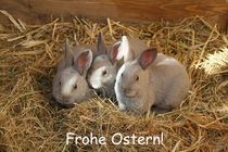 Frohe Ostern! by Anja  Bagunk