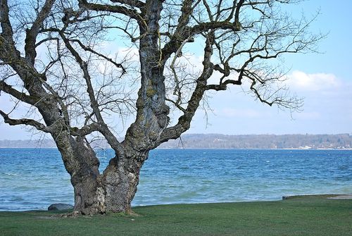 Ammersee-46