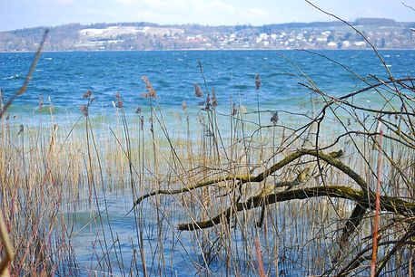 Ammersee-44