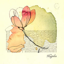Magnolia by mare