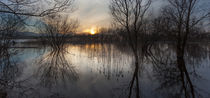 Llangorse Lake, Brecon  by Leighton Collins