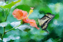 Spring messenger, butterfly von Wolfgang Pfensig