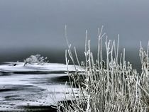 Winterstille am See by J. Peter Kaschuba