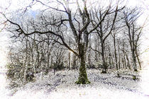English Forest Snow Art by David Pyatt