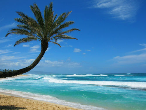 Hawaii-strand