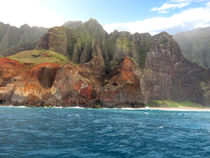 Traumhafte Küste in Hawaii von Mellieha Zacharias
