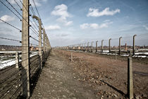 Auschwitz Birkenau von Norbert Fenske