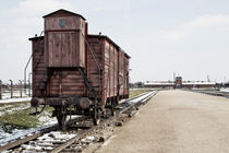 Auschwitz Birkenau by Norbert Fenske