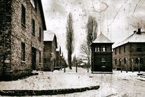 Auschwitz 1 by Norbert Fenske