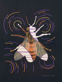 Decline of bees (Déclin des abeilles) von Anastassia Elias