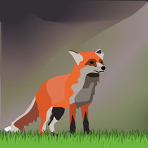Fox by greenoptix