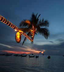 palm tree by emanuele molinari