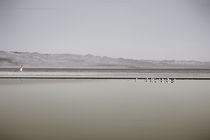 Am Saltonsee  by Bastian  Kienitz