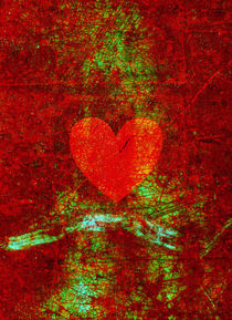 Red Heart by Steve Ball