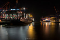 Waltershofer Hafen Containerschiff von Michael  Beith