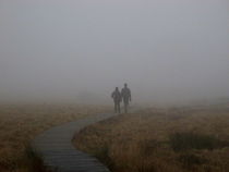 im Nebel by Claudia von der Lippe