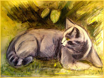  Grey Cat Sun Leaves  by Sandra  Vollmann