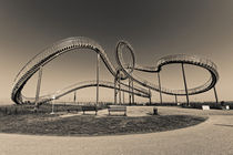 Tiger and Turtle in Duisburg (7-10366) B+W by Franz Walter Photoart
