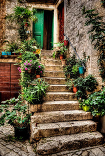 Courtyard Steps by Colin Metcalf