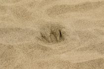 Spuren im Sand by toeffelshop