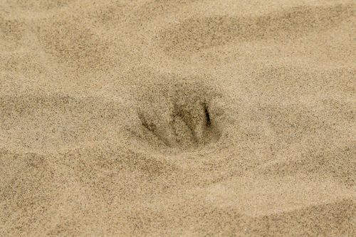 Spuren-im-sand
