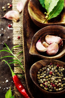 Fresh herbs and spices by Natalia Klenova