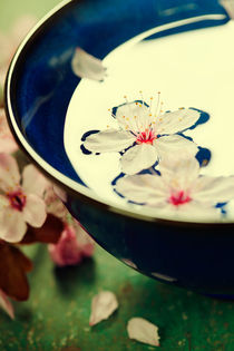 spring flowers in blue bowl von Natalia Klenova