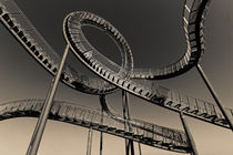Tiger and Turtle in Duisburg (7-10373) B+W by Franz Walter Photoart