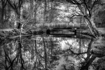 Forest Reflections von Malc McHugh
