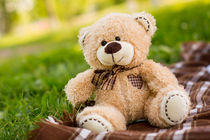 Teddy bear on the green grass von Gaukhar Yerk