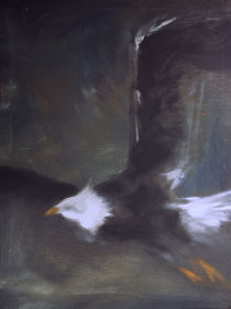 Adler im Flug by Thomas Neumann