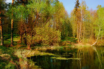 The pond in the spring von Yuri Hope
