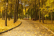 Benches in the autumn park by Gaukhar Yerk
