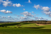 Views of Wiltshire. von David Hare