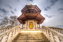 The Pagoda Battersea Park London by David Pyatt