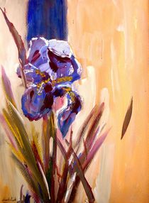 Iris by Eberhard Schmidt-Dranske
